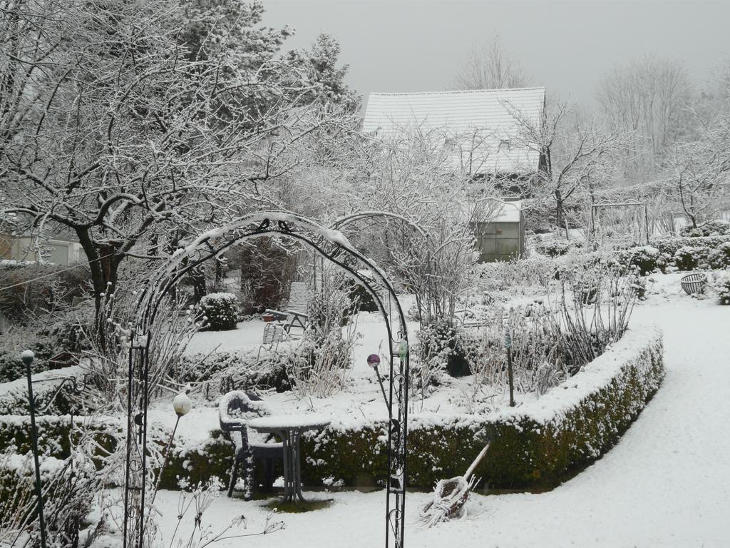 Haus Mit Aussicht Apartment Horn-Bad Meinberg Bagian luar foto