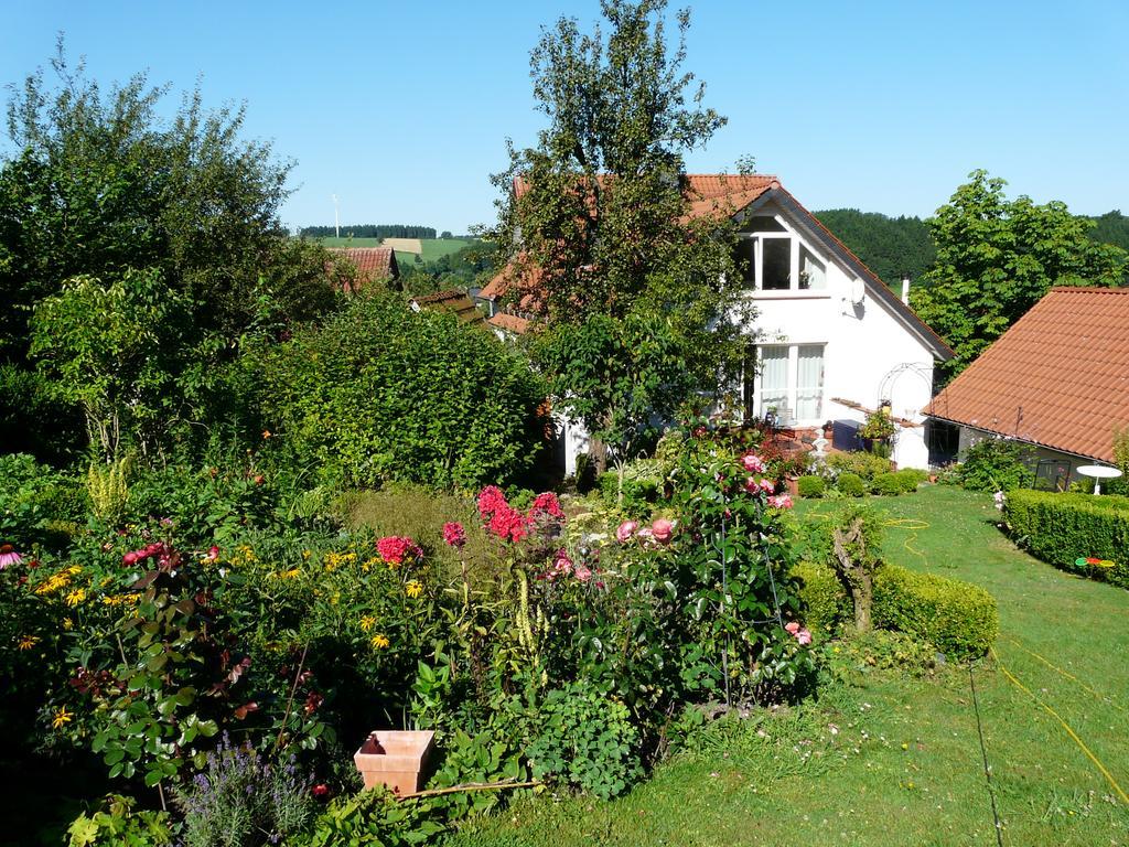 Haus Mit Aussicht Apartment Horn-Bad Meinberg Bagian luar foto